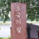 대구성보학교 | 현충일, 호국의 길을 걷다