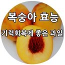 효과 만점 복숭아 효능 6가지 이미지