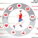 다비드 짐 이미지