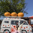 선명사슴농장 | [제주] 파더스가든 7세 아이와 인생샷+동물 먹이주기 완벽 정복!