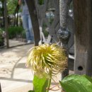 월성농장 이미지