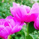 행정사사무소 봄 이미지