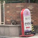 경희서울한약국 이미지