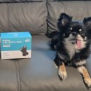 구강농장 이미지