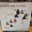 퍼플퍼피 | 2025년 겨울시즌 유니클로 퍼프테크 패딩 비교 실착 후기