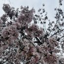 사선대화장실 이미지