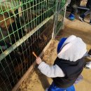 태건농장 이미지