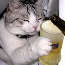 맥주한잔 - 이천시 백사면 | 맥주한잔
