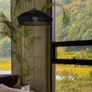 월오포레스트 이미지