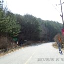 하송 Daum카페