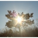 호계공설시장 이미지