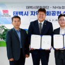 태백문화재단 이미지