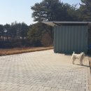 여주-0909 이미지