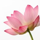 보광한의원 이미지