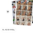 지빠 이미지