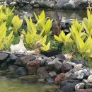 멜리아 | 발리 올인클루시브 파라디수스 바이 멜리아 액티비티, 카약 후기