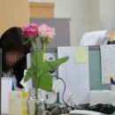 파리바게뜨 사당점 이미지
