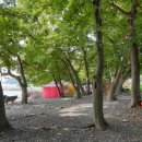 초전마을야영장 이미지