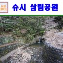 삼림영상 이미지