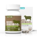 피에이치푸드 쇼핑하우