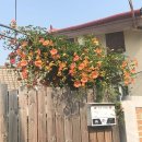 야탑중학교 이미지