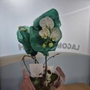 도서관영어교습소 | 영어 교습소 운영 3주 후기 (가오픈 기간)