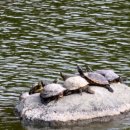 거북선공원 이미지