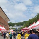 유기농엑스포광장 | 괴산빨간맛축제 오늘다녀온 후기, 먹거리, 체험부스, 양귀비꽃밭 포토존