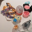 깡s스토어 이미지