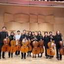 첼로(야간) 이미지