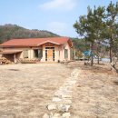 햇님쉼터한의원 이미지