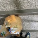 에이젯푸즈 이미지