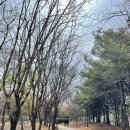 남동문화근린공원 공원화장실 이미지