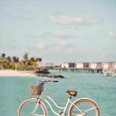 파티나인 이미지