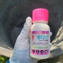 수정-135 이미지