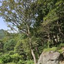 가평1리 마을회관 이미지