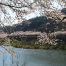 문척면사무소 이미지