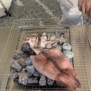 노섬브리아 이미지