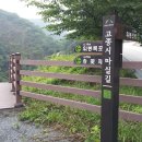 고종시마실길 이미지