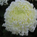 대우경로당 이미지