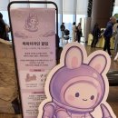 톰과스누피 | 대전 신세계 캐릭터라인 팝업 🎀 (산리오, 스누피, 톰과제리, 짱구, 주토피아, 코우펜짱 등)