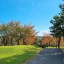 에스엔에스 스크린골프 이미지