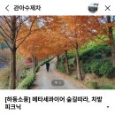관아 수제차 이미지