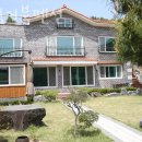 청벽거북 이미지