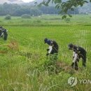 강진-7 이미지
