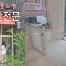 멍블라썸 이미지