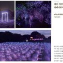 법인에코랜드 뉴시스