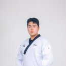 베스트태권도장 시선뉴스
