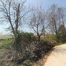 공검면 화동리 이미지