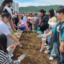 수원중촌초등학교 이미지